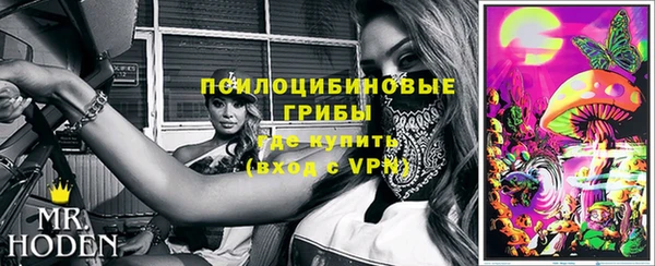 крисы Алексеевка