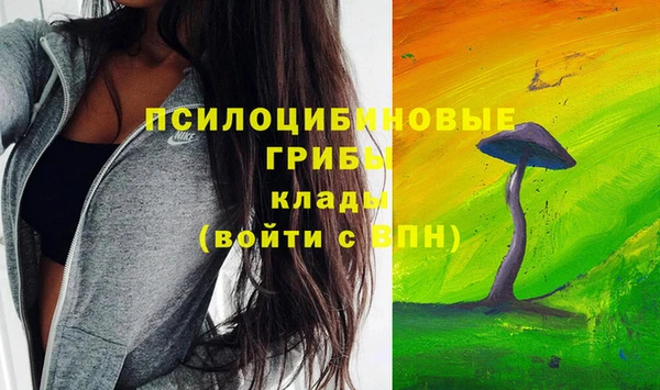стафф Алексин