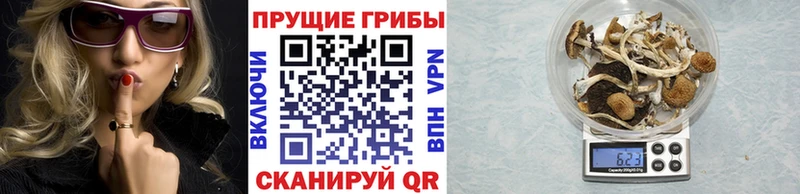 Галлюциногенные грибы MAGIC MUSHROOMS Куровское
